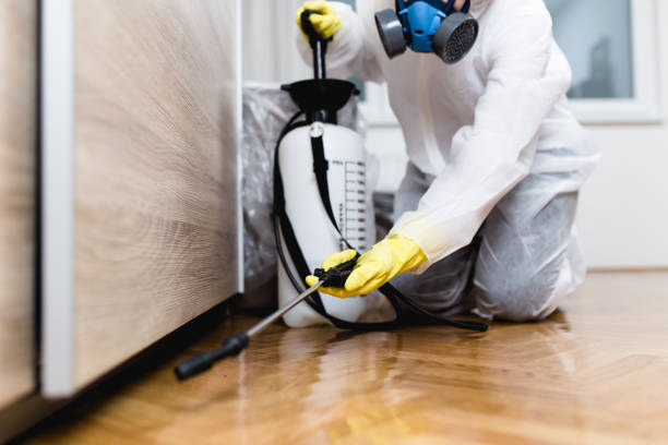 Wasp Removal Services in Howards Grove, WI
