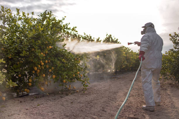 Best Pest Control Near Me in Howards Grove, WI